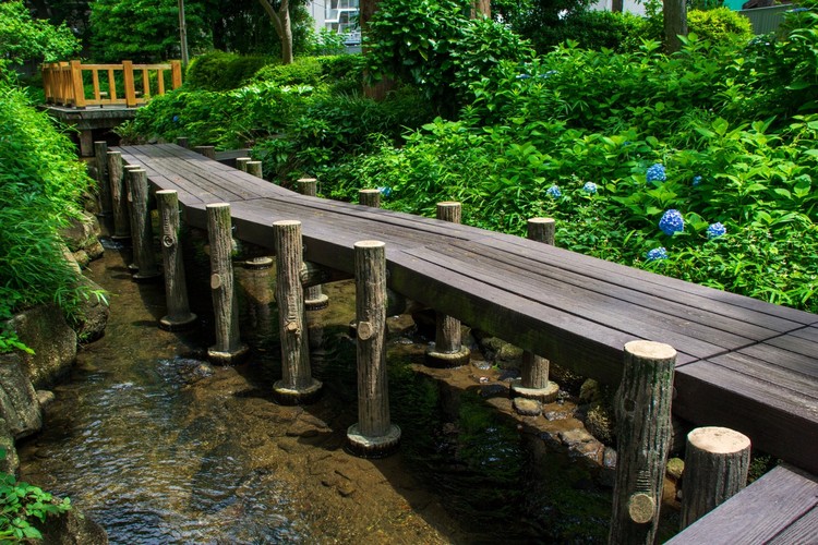 小松川境川親水公園のイメージ画像